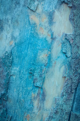TEXTURA DE CORTEZA DE ÁRBOL EN AZUL