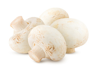 mushroom, champignon, isolated on white background, clipping path, full depth of field