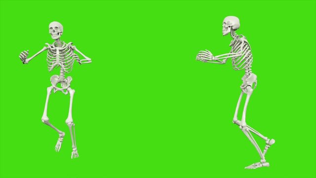 Skeleton dancing. Seamless loop animation on green screen.