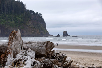 Fototapeta na wymiar Couple walking across the Oregon pacific ocean beach during stormy weather.