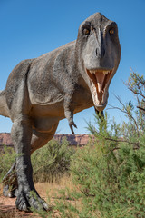Roaming T-Rex