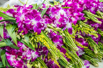 Bunches of purple orchids