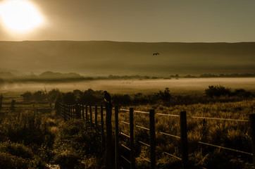 paisaje al amanecer