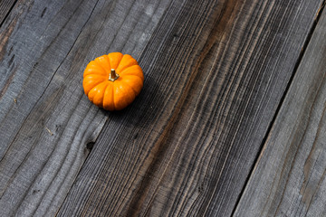 Isolated pumpkins against a wooden backdrop.