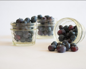 Blueberries in Mason Jars