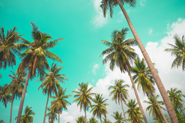 Fototapeta na wymiar Coconut palm trees - Tropical summer beach holiday, Vintage tone