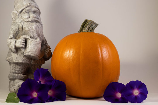Pumpkin displayed with morning glory flowers.