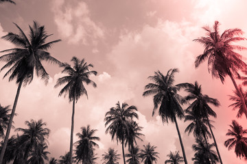 Naklejka na ściany i meble Coconut palm trees - Tropical summer beach holiday, Light leak effect