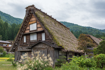Fototapeta na wymiar Gifu Shirakawa-go (World Heritage Site in Japan)