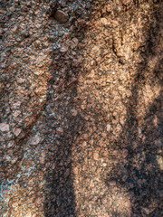 stone texture with moss on top in the Karelian forest 