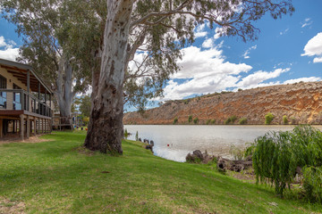 Landscape view of parkland on banks of the Murray River near Bowhill in South Australia.