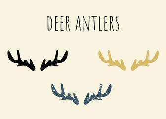 Vector set of deer antlers. Isolate
