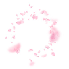 Obraz na płótnie Canvas Sakura petals falling down. Romantic pink flowers 