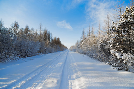 Straight road in the winter forest