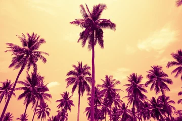 Papier Peint photo Palmier Cocotiers en journée ensoleillée - Concept de vacances de vacances de brise d& 39 été Tropical aloha, effet de tonalité de couleur