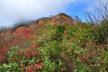 長野県白馬村 五竜岳登山 秋の小遠見山トレッキングコース
