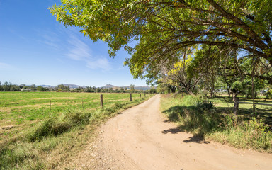 Fototapeta na wymiar Rural landscape with road near town in Eastern Cape South Africa