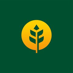 Simple Luxury Grain Wheat logo designs concept vector, Agriculture wheat Logo Template vector icon