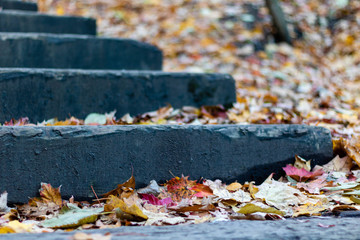 Fall leaves on the ground. Fall leaves on outdoor stairs. 