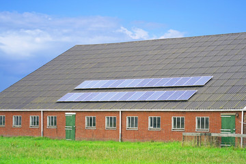 Obraz premium Solar panels on the roof of a large farm barn for cows, horses, pigs. Solar panels on a roof of a farm building. Green energy of solar cell panel on house roof in blue sky.