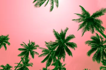 Papier Peint photo autocollant Palmier Cocotiers - Vacances de brise tropicale d& 39 été, ton amusant de couleur