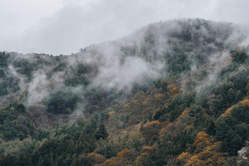 Forested mountain slope in low lying cloud in the autumn season at kawaguchiko, Japan. Mist in a scenic landscape view