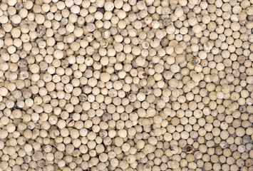 Texture background pattern of white pepper corn