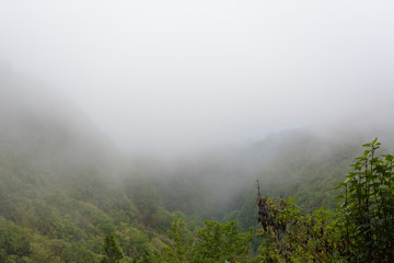 Fototapeta na wymiar Landscape from the Caldeirao verde, Santana, Madeira, Portugal