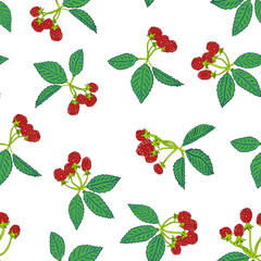 Seamless pattern of blackberry or raspberry. Berry background for textiles, wallpaper, sets of drawings, covers, surface, print, wrapper, scrapbooking.