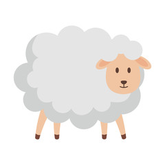 cute sheep farm character
