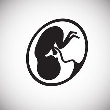 Embrion on white background icon
