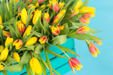 Floristics, holidays and flowers concept - a big bouquet of red and yellow tulips on blue background