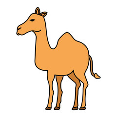 cute camel desert animal