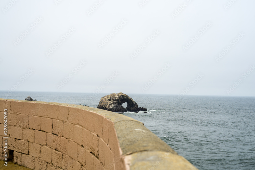 Wall mural the view in lands end, san francisco. summer , cloud , rock , plant, sea