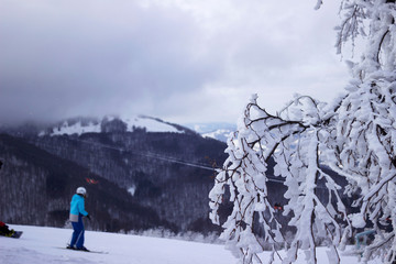 Skiers go skiing in the Carpathian mountains, lots of snow winter, beautiful background