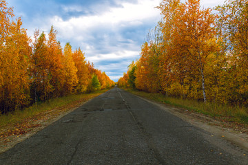 Old asphalt road along the autumn forest