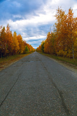 Old asphalt road along the autumn forest