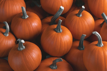 Many pumpkins background