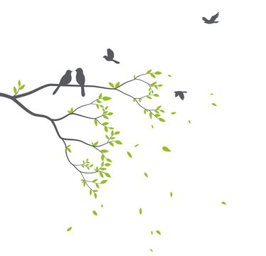 Beautiful tree branch with birds silhouette background for wallpaper sticker