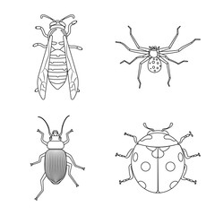 Vector design of insect and fly symbol. Collection of insect and element stock vector illustration.