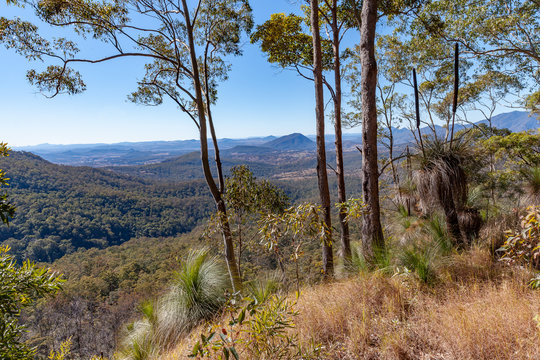 Australian bushland