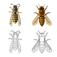 Isolated object of insect and fly logo. Collection of insect and element vector icon for stock.