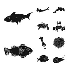 Vector design of sea and animal sign. Collection of sea and marine vector icon for stock.