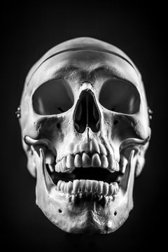Front of real skull in abstract smoke isolated on black background.