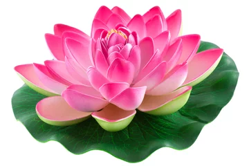Papier Peint photo Lavable fleur de lotus  nénuphar rose 