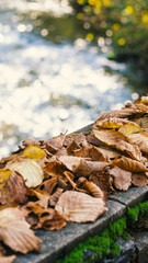Herbst