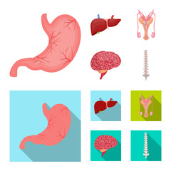 Isolated object of body and human logo. Set of body and medical stock vector illustration.