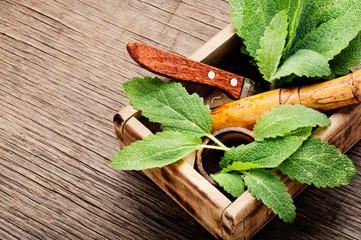 Natural medicine,herbs