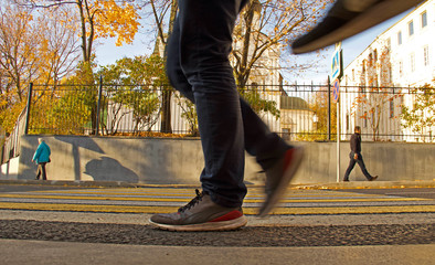 A pedestrian crossing in Moscow. A sunny autumn day in the city centre. 