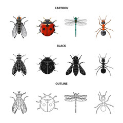 Vector illustration of insect and fly sign. Collection of insect and element vector icon for stock.